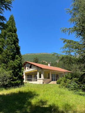 Villa Caprice à l'orée des bois